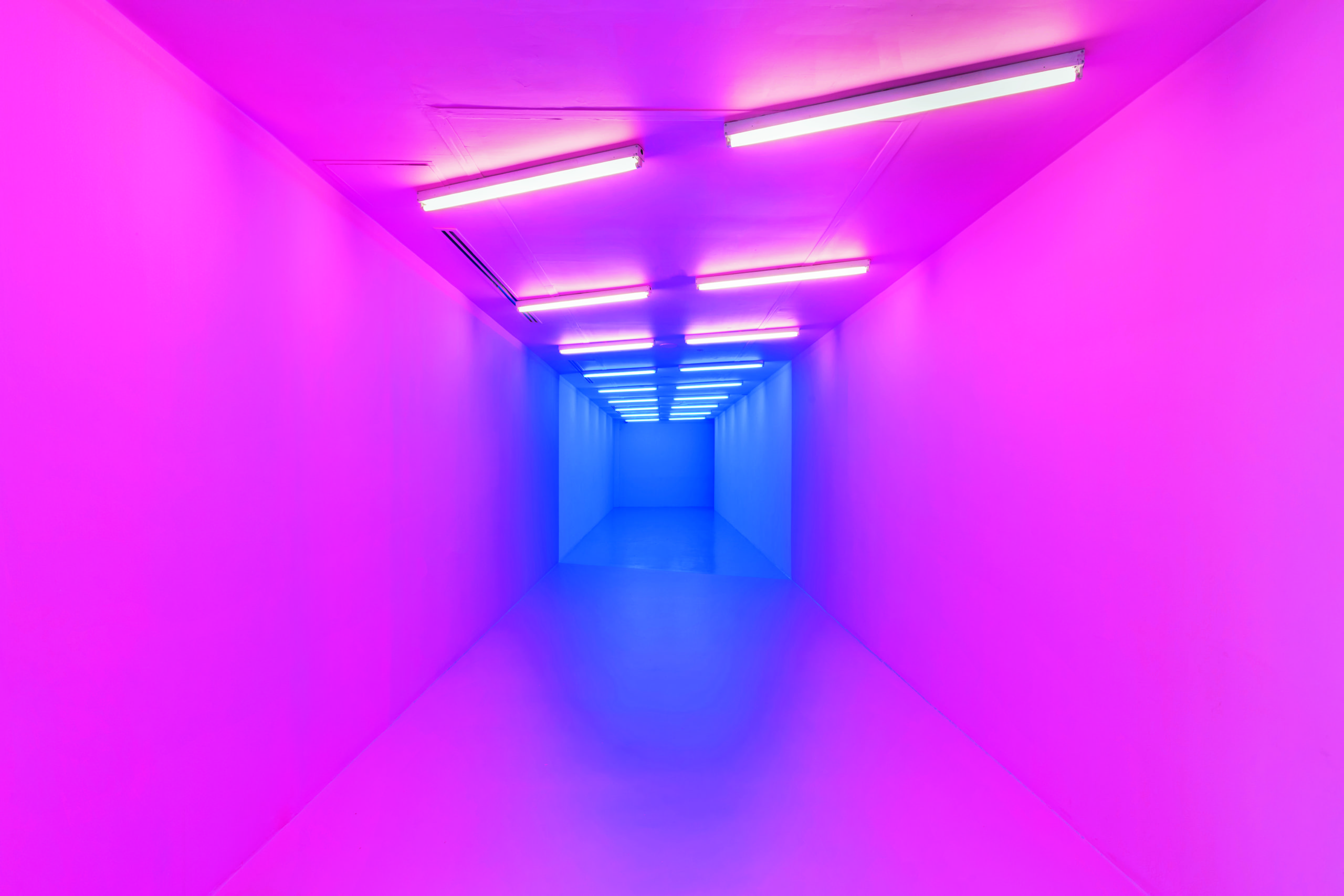 Kapwani Kiwanga, pink-blue, 2017, Baker-Mille, rosa Farbe, weiße Farbe, weiße Leuchtstoffröhren, blaue Leuchtstoffröhren, Maße variabel, Installationsansicht, A wall is just a wall, The Power Plant, Toronto (CA), 2017 © Kapwani Kiwanga, Courtesy die Künstlerin und Goodman Gallery, Kapstadt, Johannesburg, London/Galerie Poggi, Paris/Galerie Tanja Wagner, Berlin Foto: Tony Hafkenscheid 